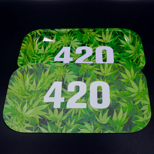 Large Tray with Magnetic Lid*