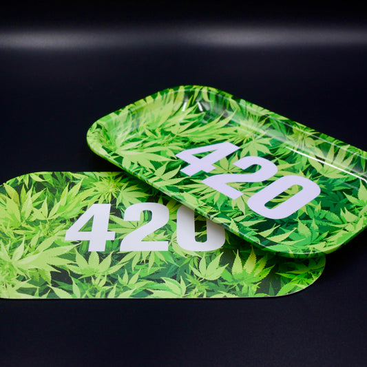 Large Tray with Magnetic Lid*